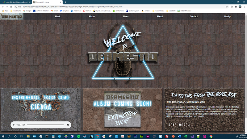 Homepage in Chrome